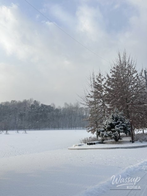 Winter Wonderland at Geochang Changpo Garden_05