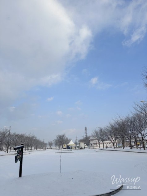 Winter Wonderland at Geochang Changpo Garden_04