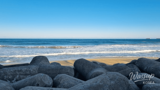 Exploring the Winter Beauty of Donghae: Top 4 Must-Visit Spots_04