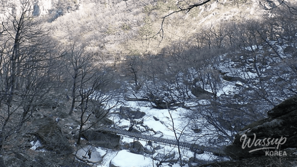 Exploring the Winter Beauty of Donghae: Top 4 Must-Visit Spots_02