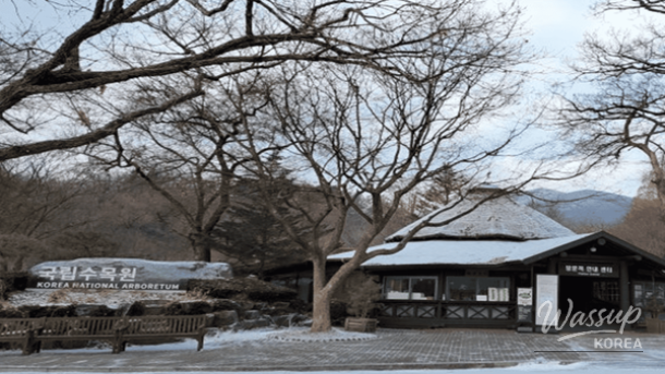 Winter Botanical Gardens: A Warm Escape_05