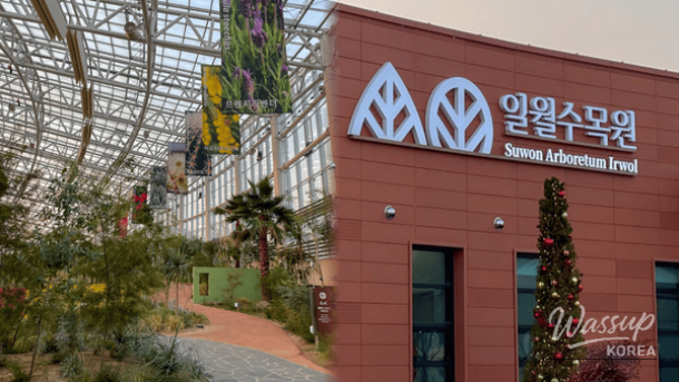 Winter Botanical Gardens: A Warm Escape_01