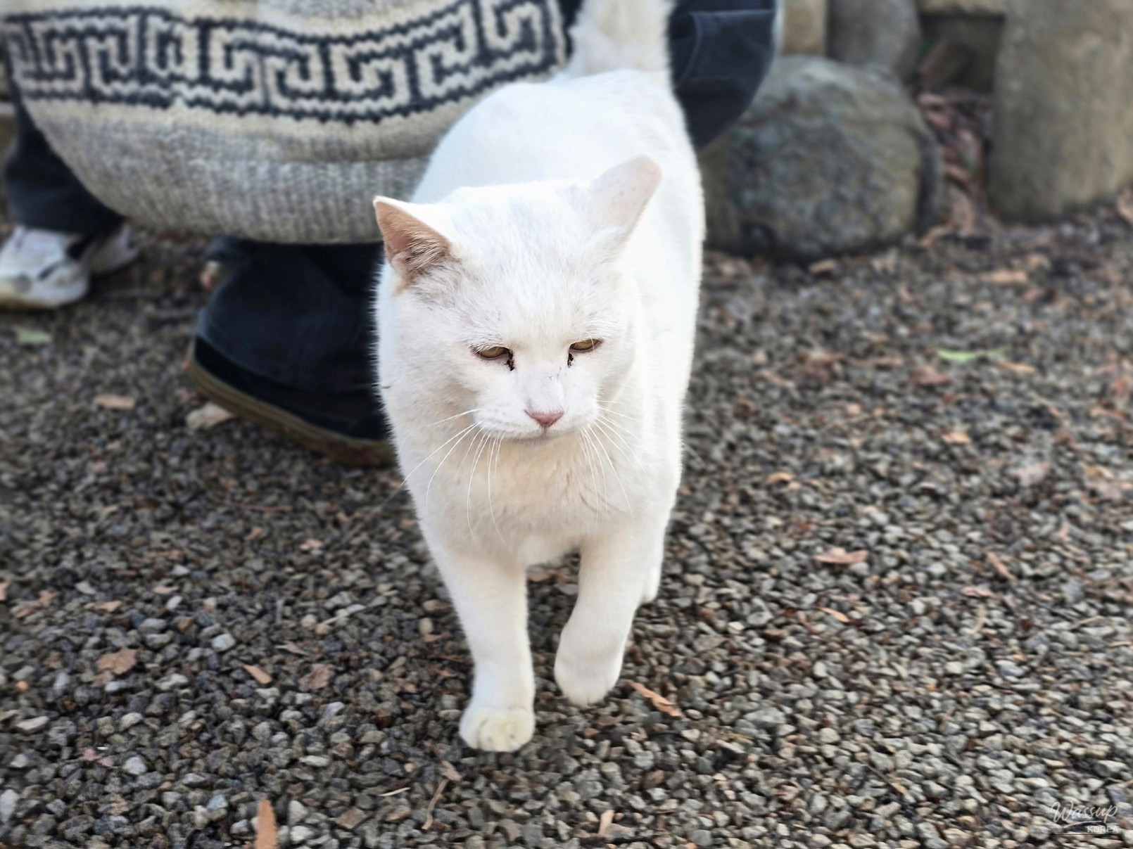 A Journey to the Amimi Art Museum_05