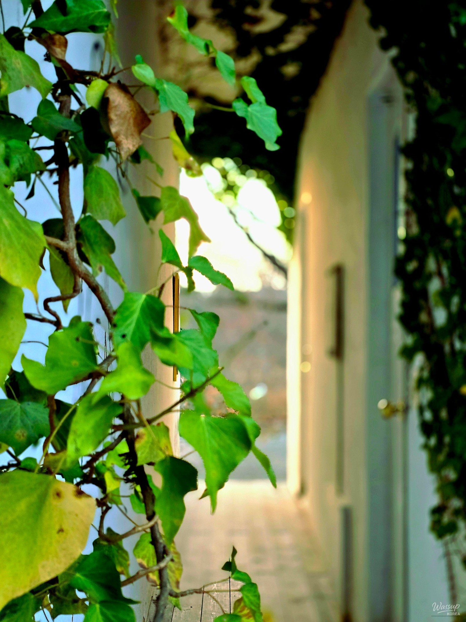 A Journey to the Amimi Art Museum_11