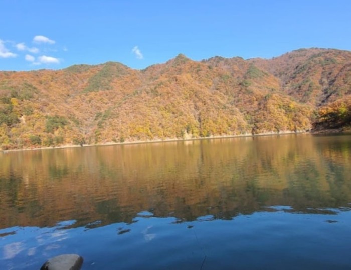 Exploring the Hidden Valley of Bisugumi float
