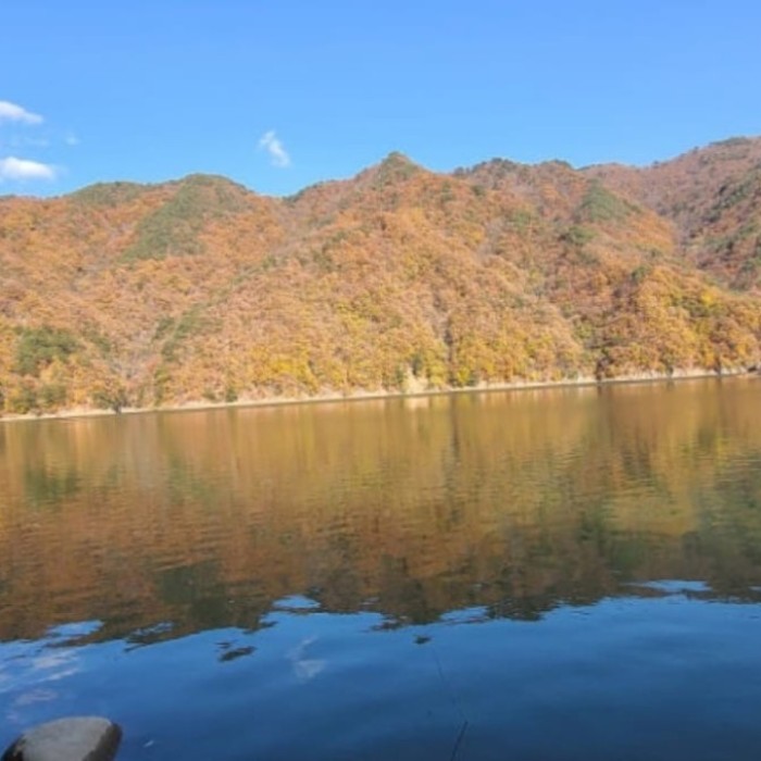 Exploring the Hidden Valley of Bisugumi2115