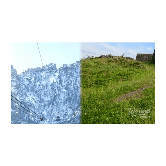 Exploring Korea: Top 4 Destinations for Solo Travelers in February2098