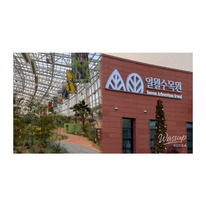 Winter Botanical Gardens: A Warm Escape2123