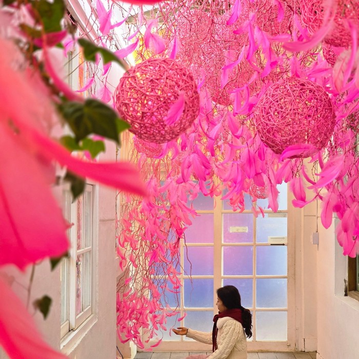 A Journey to the Amimi Art Museum2118