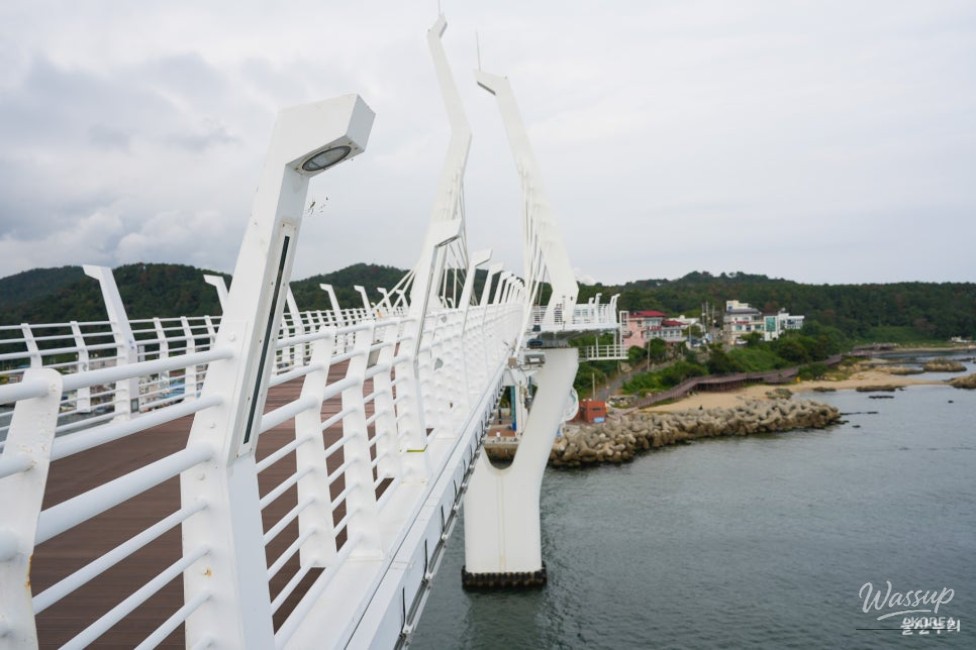 Myeongseon Bridge: A Coastal Landmark in Ulsan_09