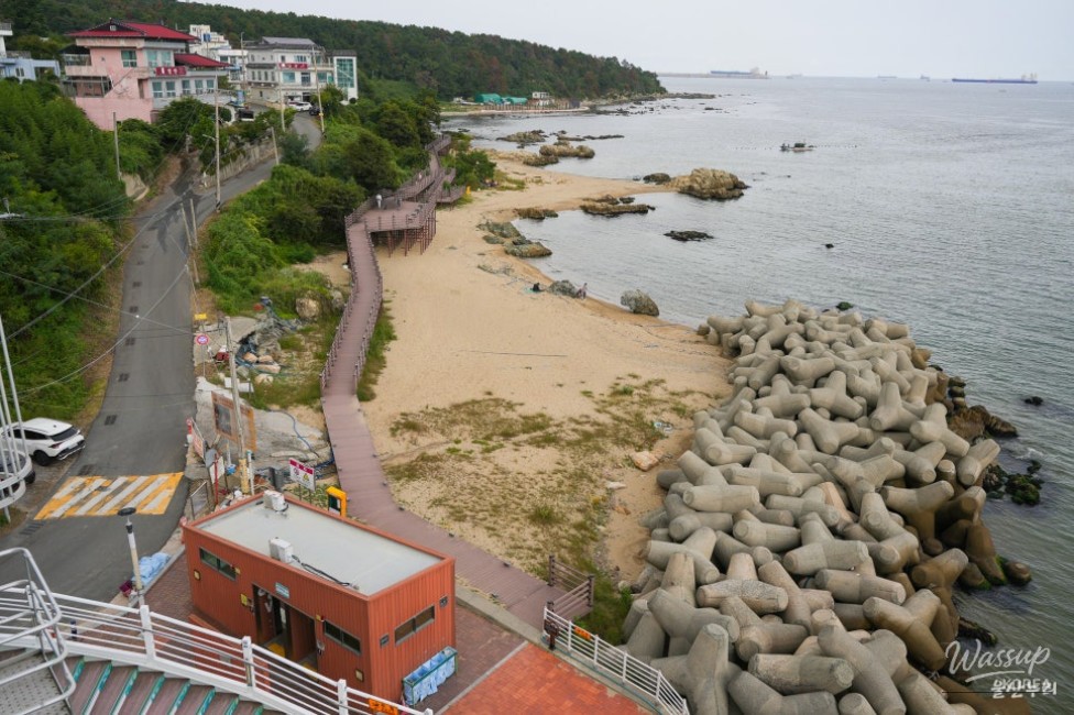 Myeongseon Bridge: A Coastal Landmark in Ulsan_12