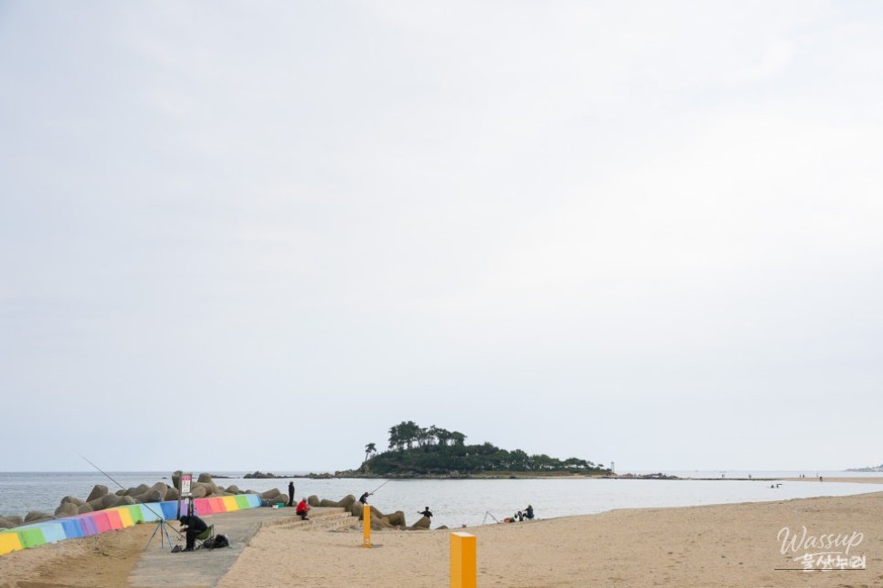 Myeongseon Bridge: A Coastal Landmark in Ulsan_03
