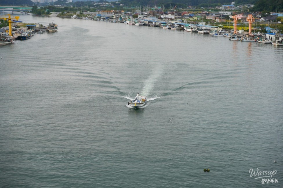Myeongseon Bridge: A Coastal Landmark in Ulsan_11