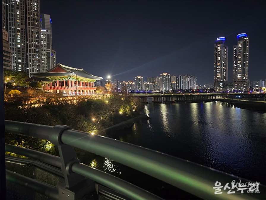 Exploring the Taehwa River Skywalk in Ulsan_13