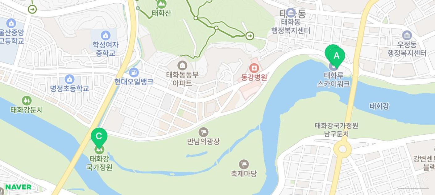 Exploring the Taehwa River Skywalk in Ulsan_15