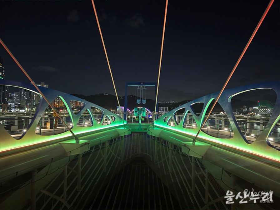 Exploring the Taehwa River Skywalk in Ulsan_07