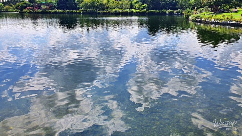 Spring Walks in Goyang: Embrace the Transition from Winter_01