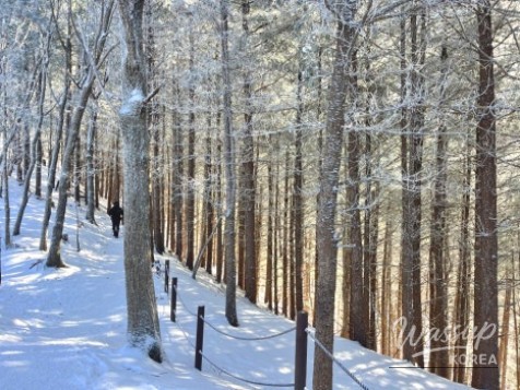 Top 3 Winter Views in Danyang_02