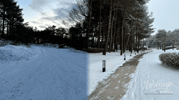 Discovering Buyeo: A Winter Travel Guide_01