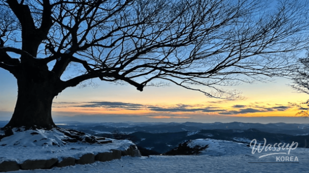 Discovering Buyeo: A Winter Travel Guide_03