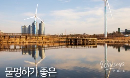 Discovering Windy Hill in Geoje: A Slice of Dutch Charm in Korea_06