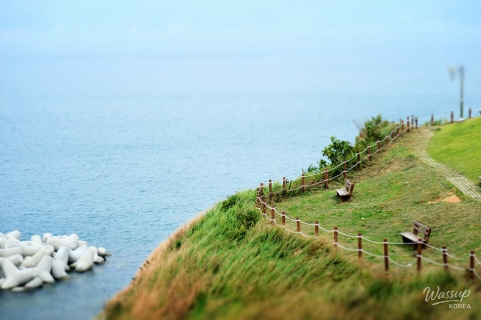 Discovering Windy Hill in Geoje: A Slice of Dutch Charm in Korea_04