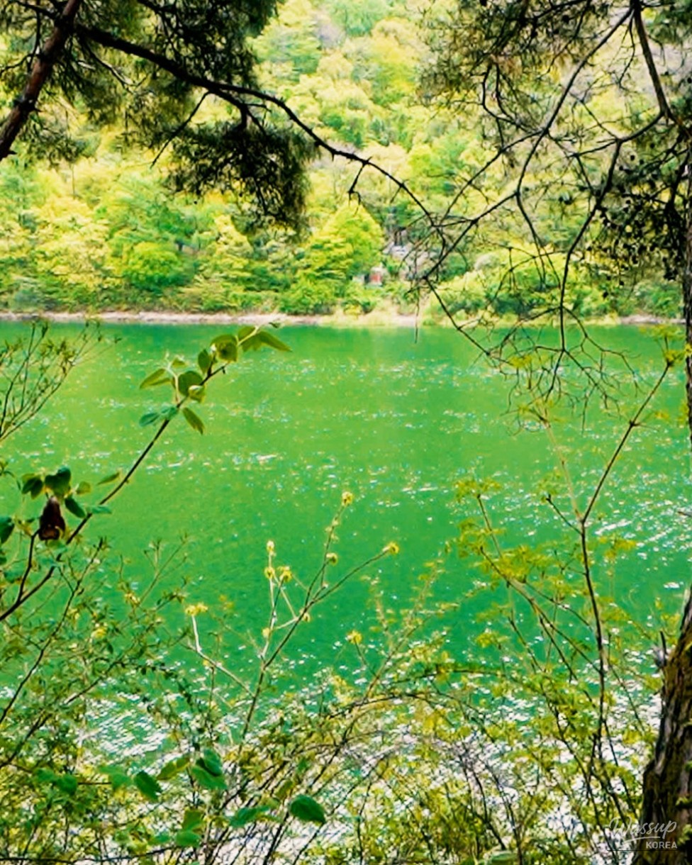 Top 5 Spring Travel Destinations in Goesan, South Korea_03