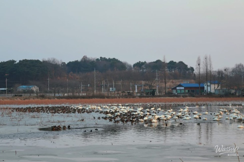 The Serenity of Seokji Reservoir_03