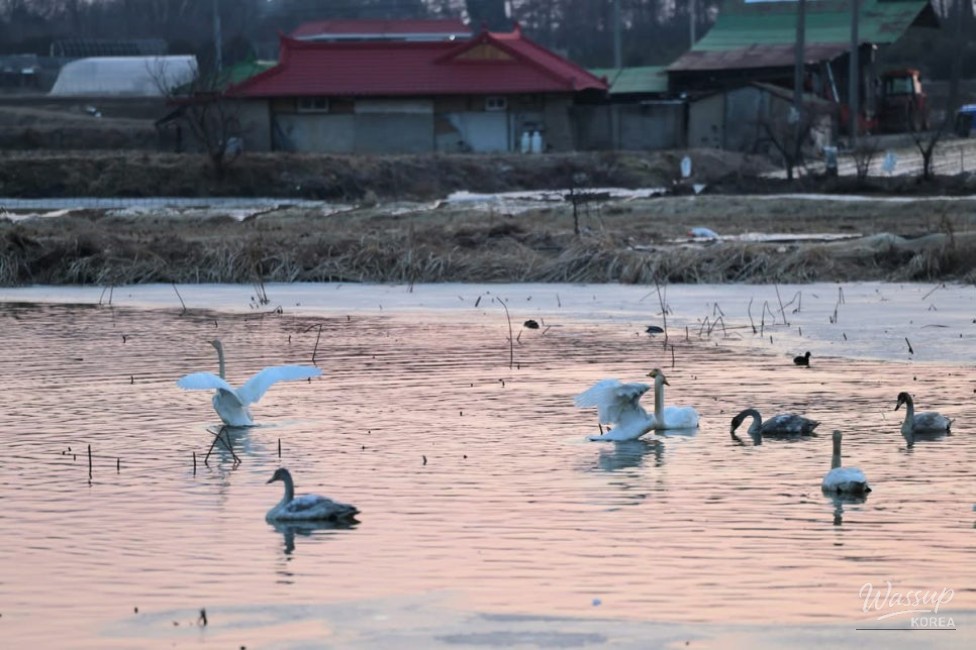 The Serenity of Seokji Reservoir_04