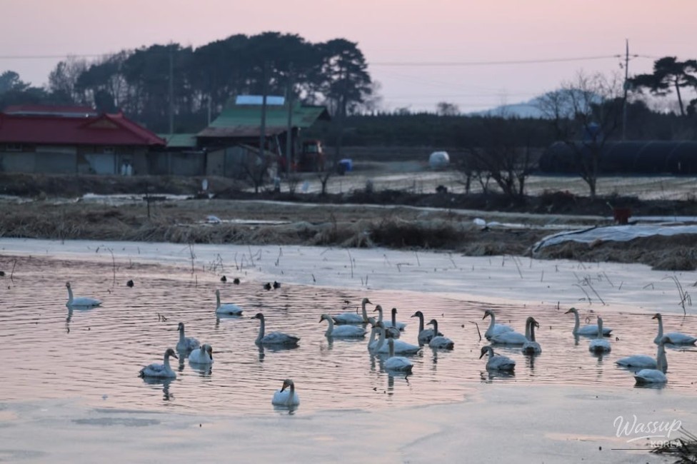 The Serenity of Seokji Reservoir_01