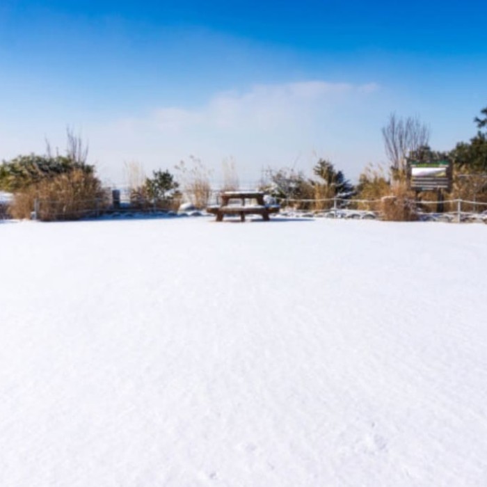 Exploring the Scenic Beauty of Yongin Mountain2143