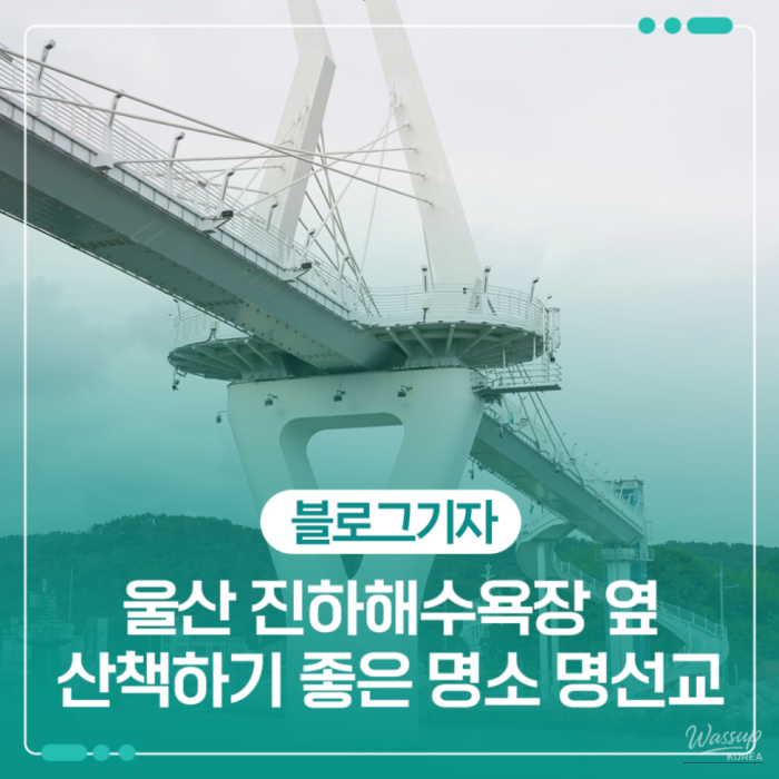 Myeongseon Bridge: A Coastal Landmark in Ulsan1199