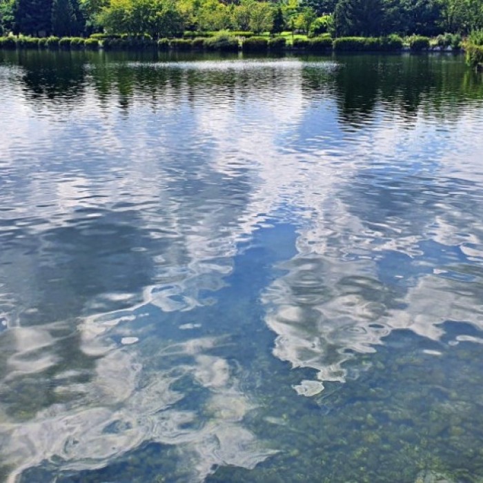 Spring Walks in Goyang: Embrace the Transition from Winter293