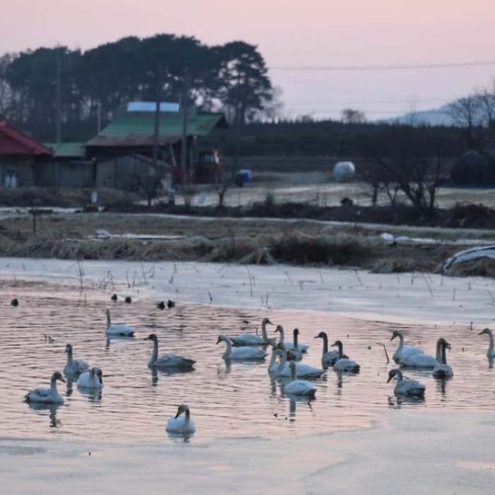 The Serenity of Seokji Reservoir1206