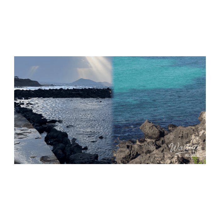 The Serene Beauty of Winter Beaches in Jeju2150