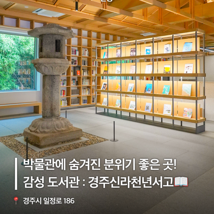 A Quiet Yet Emotional Library Experience2153