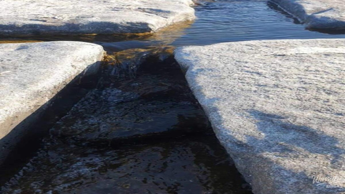 Exploring the Serenity of Gil-an Ecological Park_02