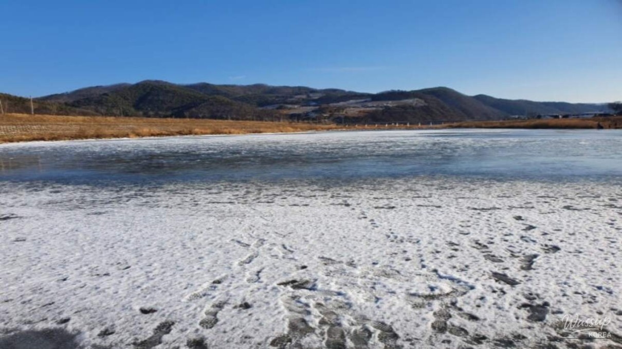 Exploring the Serenity of Gil-an Ecological Park_03