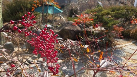 Photo Exhibition Highlights in Ulsan_04