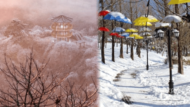 Winter Wonders of Imsil: Top 4 Must-Visit Places_01