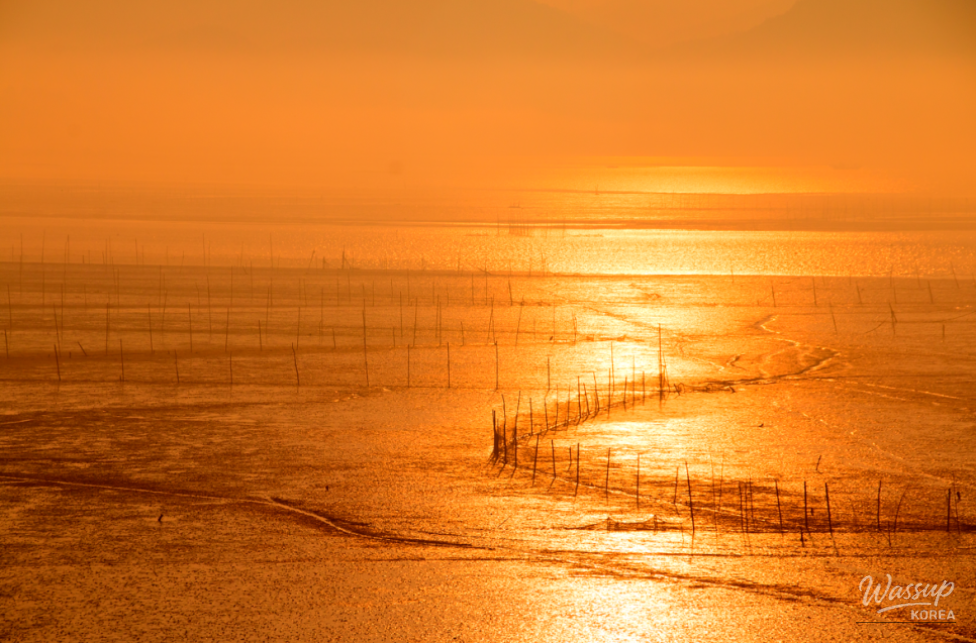 Explore the Natural Beauty of Suncheon_09