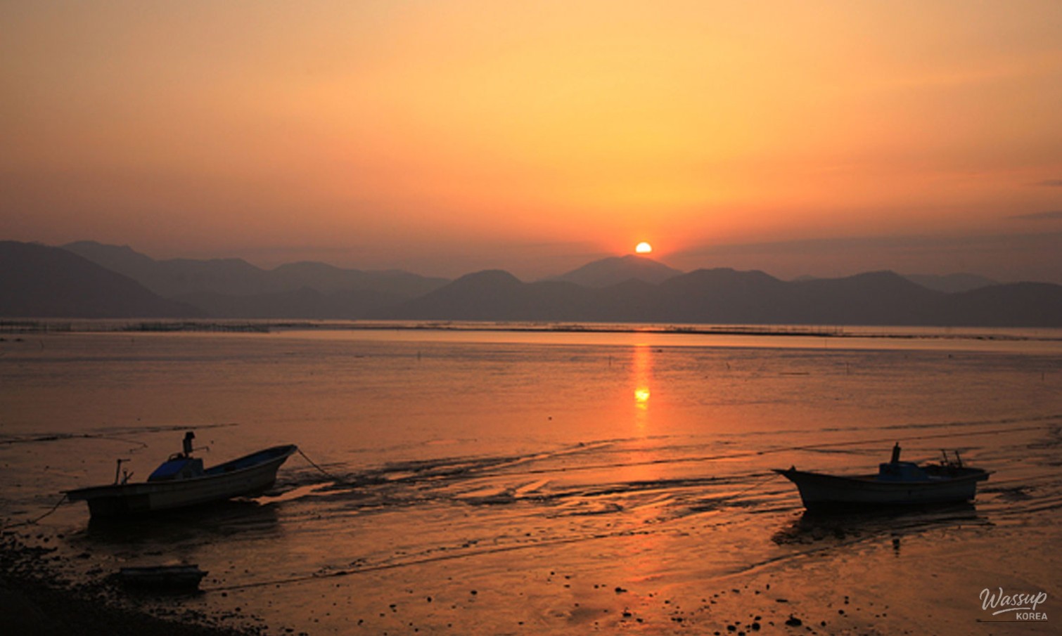 Explore the Natural Beauty of Suncheon_08