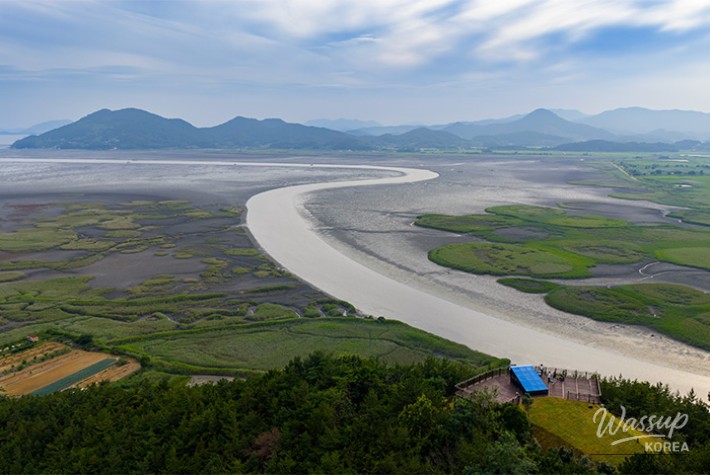 Explore the Natural Beauty of Suncheon_06