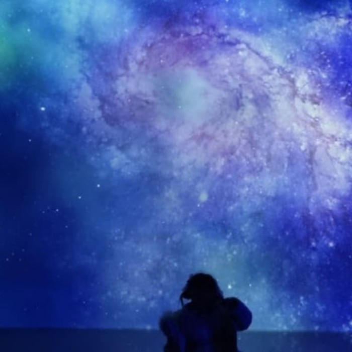 Exploring the Enchanting World of Digital Art at Bellfore Media Art Center2170