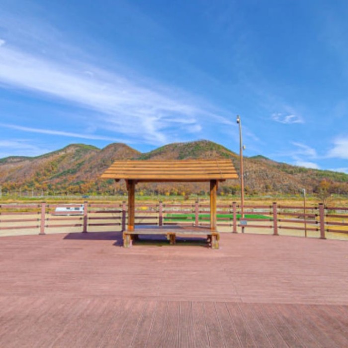 Exploring the Serenity of Gil-an Ecological Park2180