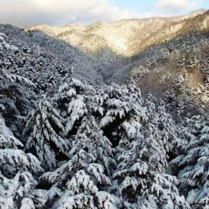 A Winter Retreat in Taebaek2183