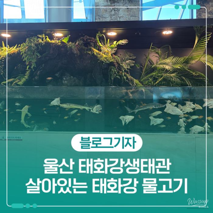 Discovering the Taehwa River Ecological Center in Ulsan1209