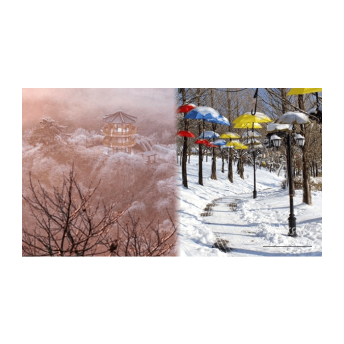 Winter Wonders of Imsil: Top 4 Must-Visit Places2171