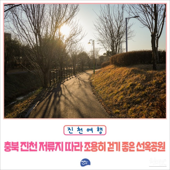 Exploring Seonok Park: A Nature Lover's Retreat2160