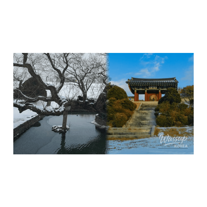 Winter Travel Destinations in Hongseong, South Korea2172